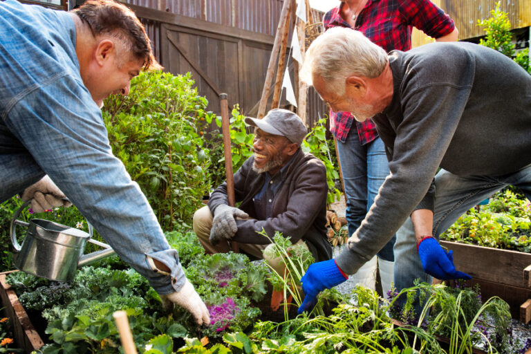 Diverse groep werkt aan vergroenen van de wijk